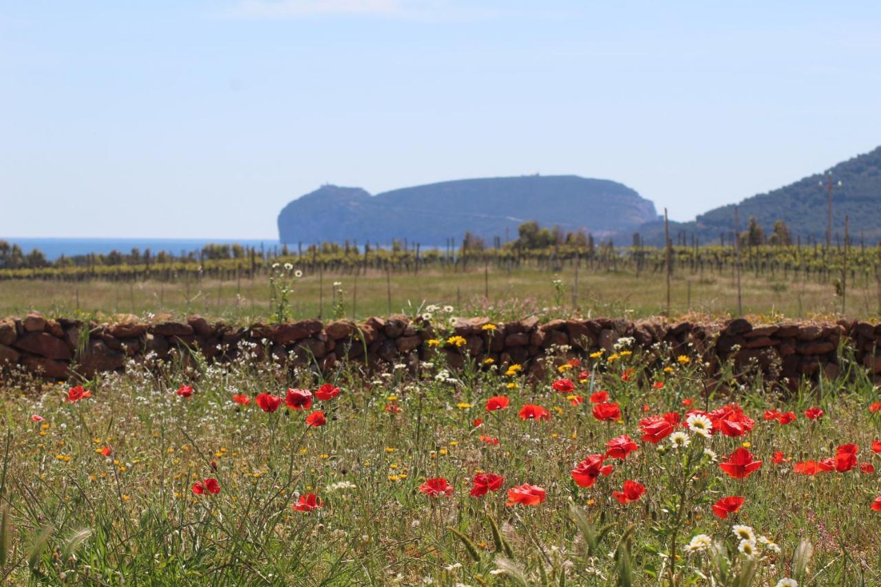 Agriturismo Graziano E Barbara Porto Conte Kültér fotó
