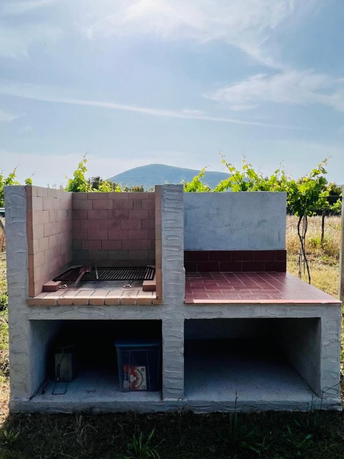 Agriturismo Graziano E Barbara Porto Conte Kültér fotó